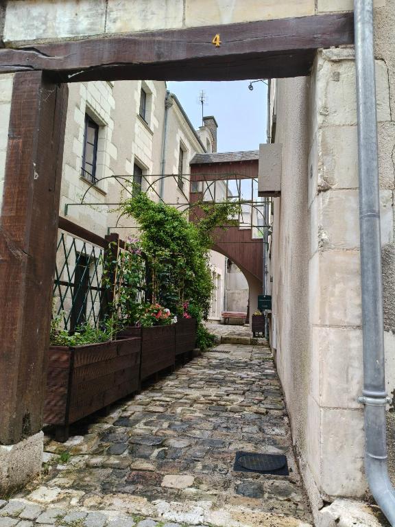 Gîte familial au cœur de Saint-Aignan séjour idéal 3 nuits à 5 min du Zoo de Beauval - 1