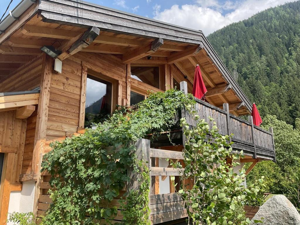 Chalet Mont-Blanc & SPA - 1