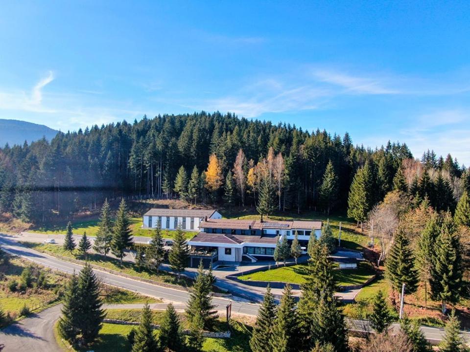 Hotel Forest - 1