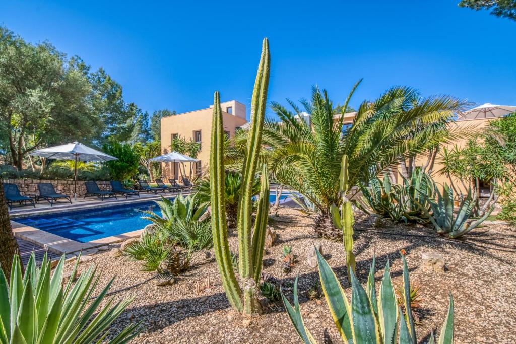The Rooms No.8 Luxus Finca Es Reco - 2