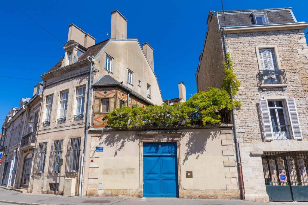 Sous la glycine au centre de Dijon - 5