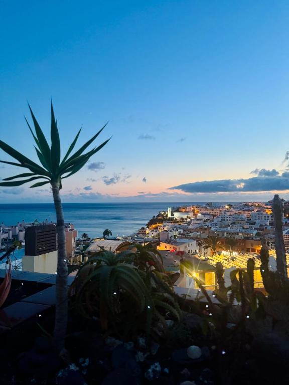 Penthouse with Ocean View & Rooftop Terrace - 2