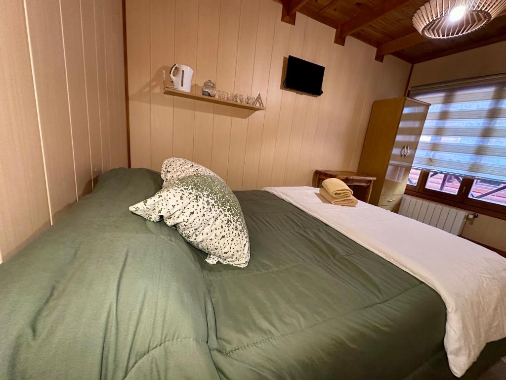 Araucaria, Casa Patagonica - 2