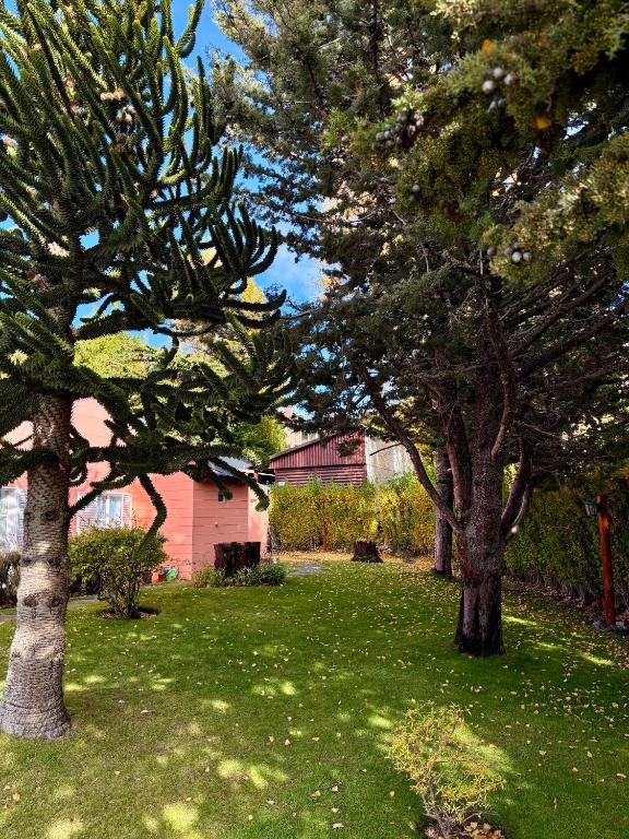 Araucaria, Casa Patagonica - 5