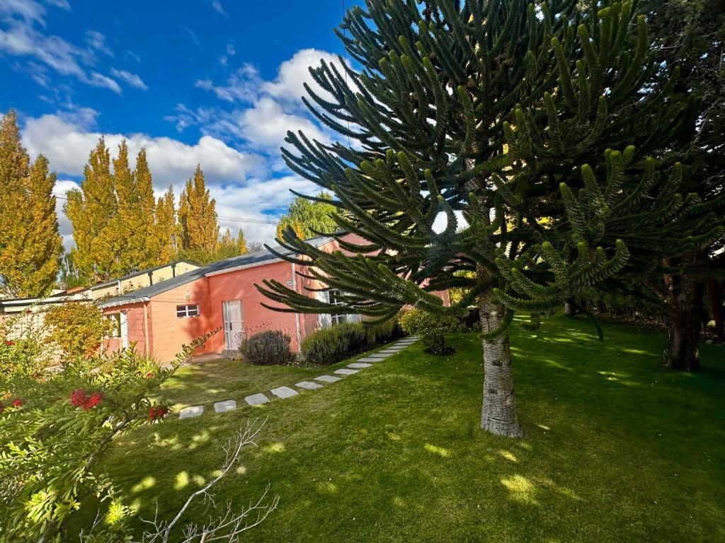 Araucaria, Casa Patagonica - 1
