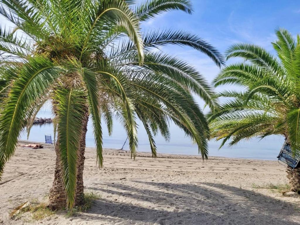 2BR Ocean View Beach Apartment, Pool, La Manga - 4