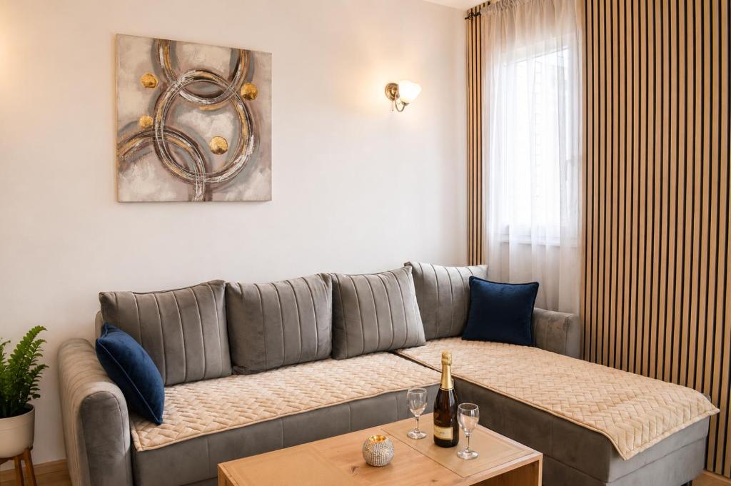 Apartman Fika Vrnjačka Banja - 4