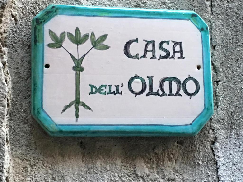 Casa dell'Olmo - 4