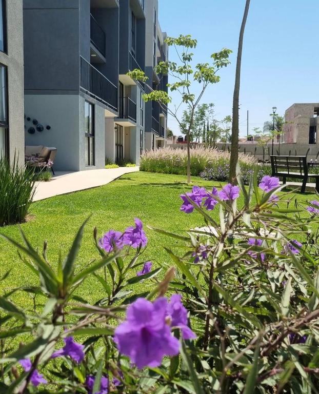Shared Apartment for the 2026 World Cup - 2