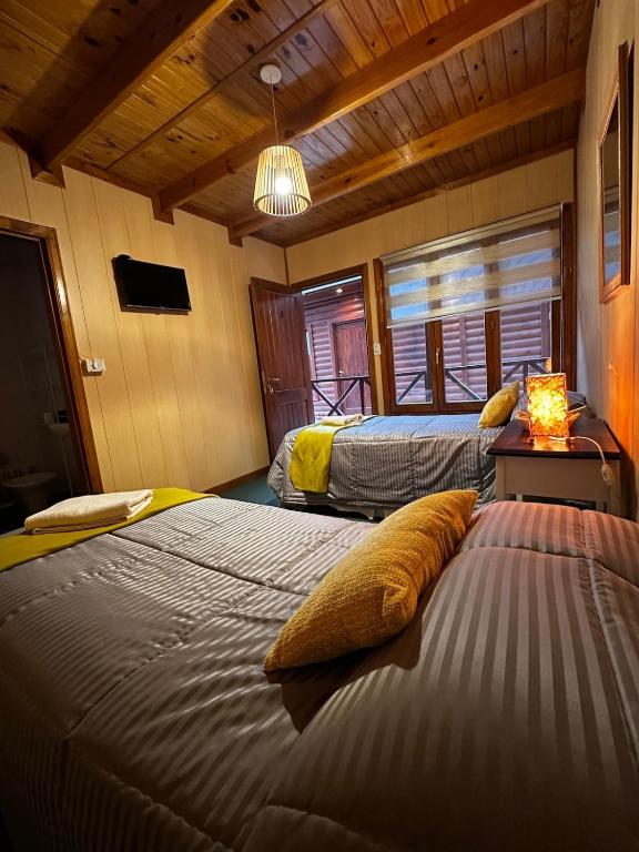 Araucaria, Casa Patagonica - 4