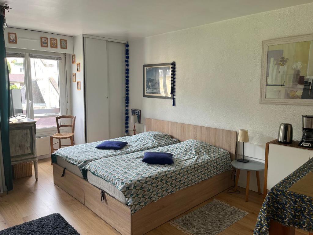 Appt cosy , vue sur le Revard , 5mn à pied du centre ville , 10mn à pied des thermes et de la gare - 5