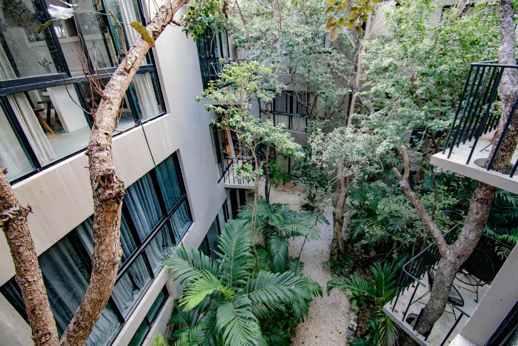 VIDA Tulum 12 - 2