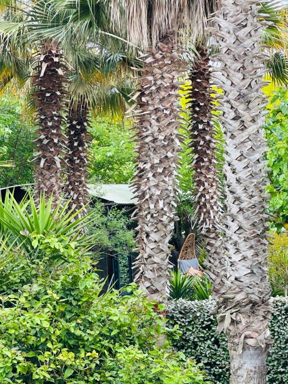 The Green Wagon Costa Brava, Piscina Privada, AC, WIFI, Parking, Terraza - 5