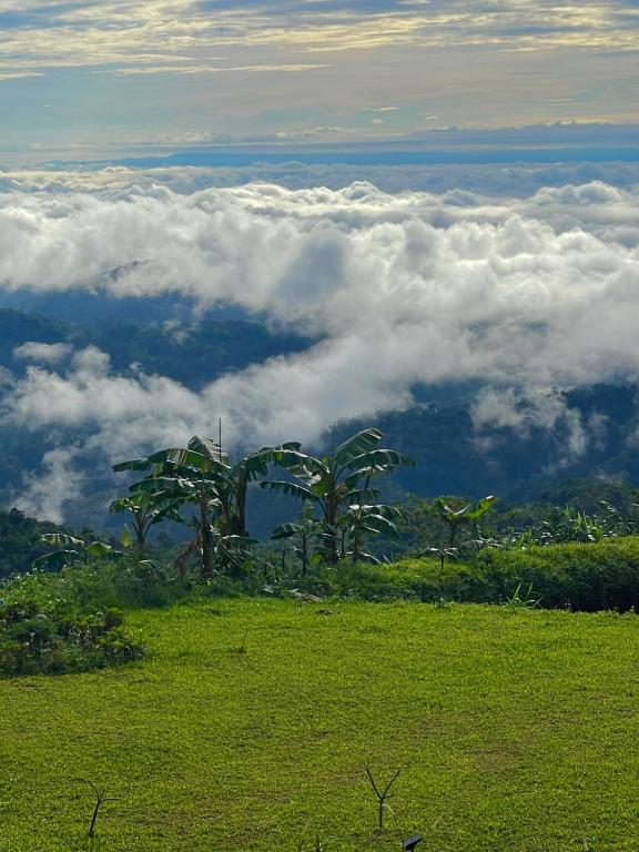 Surrounding environment