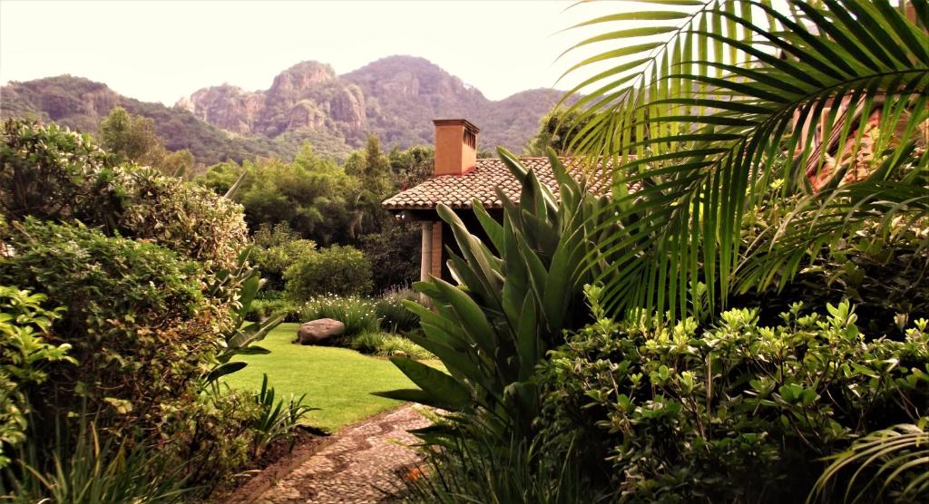 Arete — Hotel in Tepoztlan