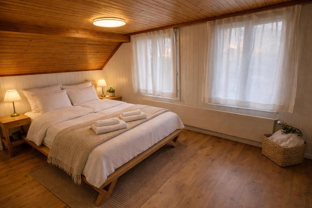 Modern 2BR Loft in Historic Swiss Chalet 200m from Interlaken West - 4
