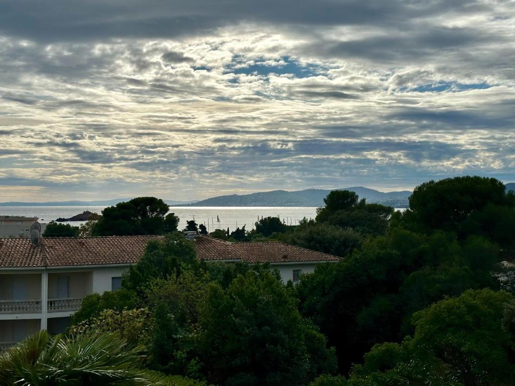 Les Palmiers de Santa Lucia Saint Raphaël - 3