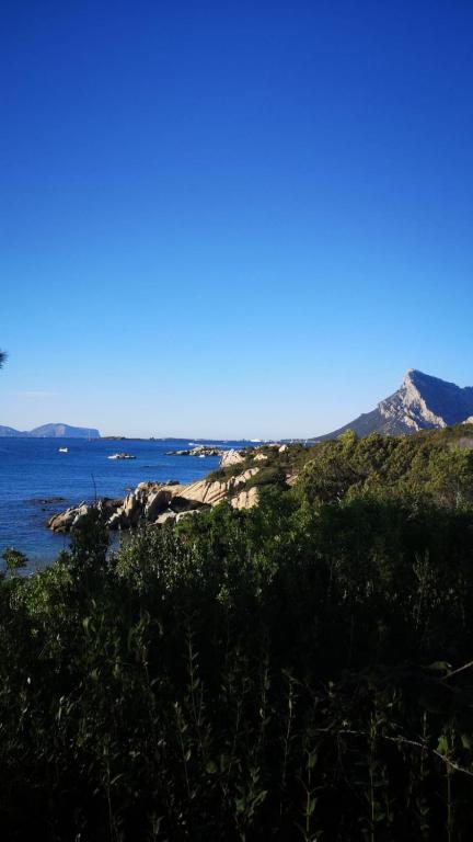 Villa Fannia - 5