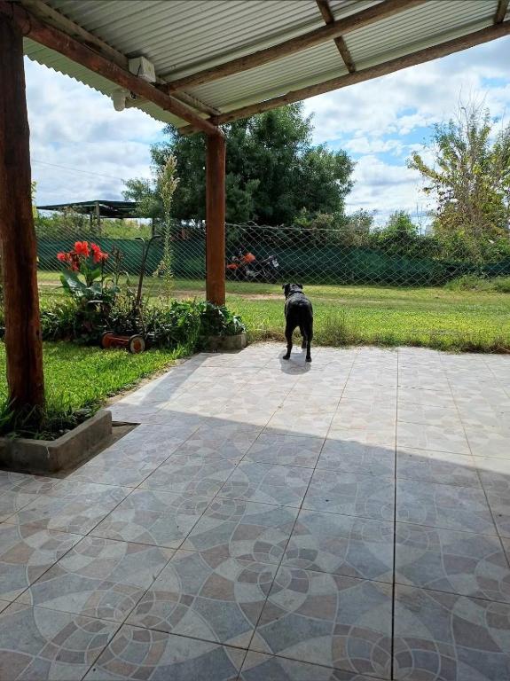 Casa de campo - PetFriendly - 2