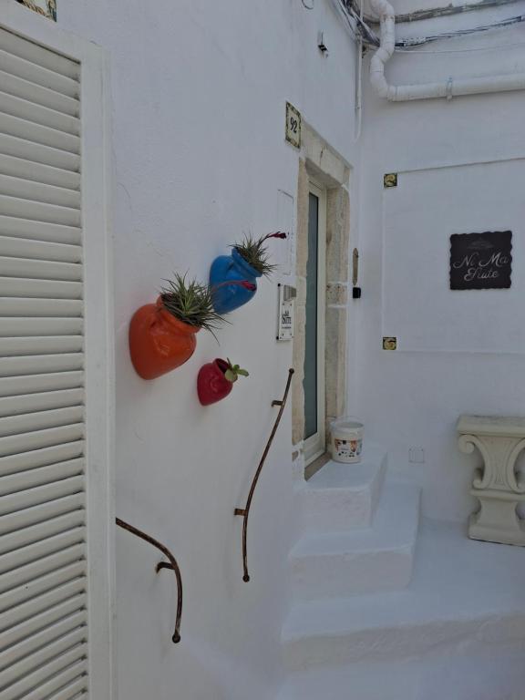 NiMa Suite - 3