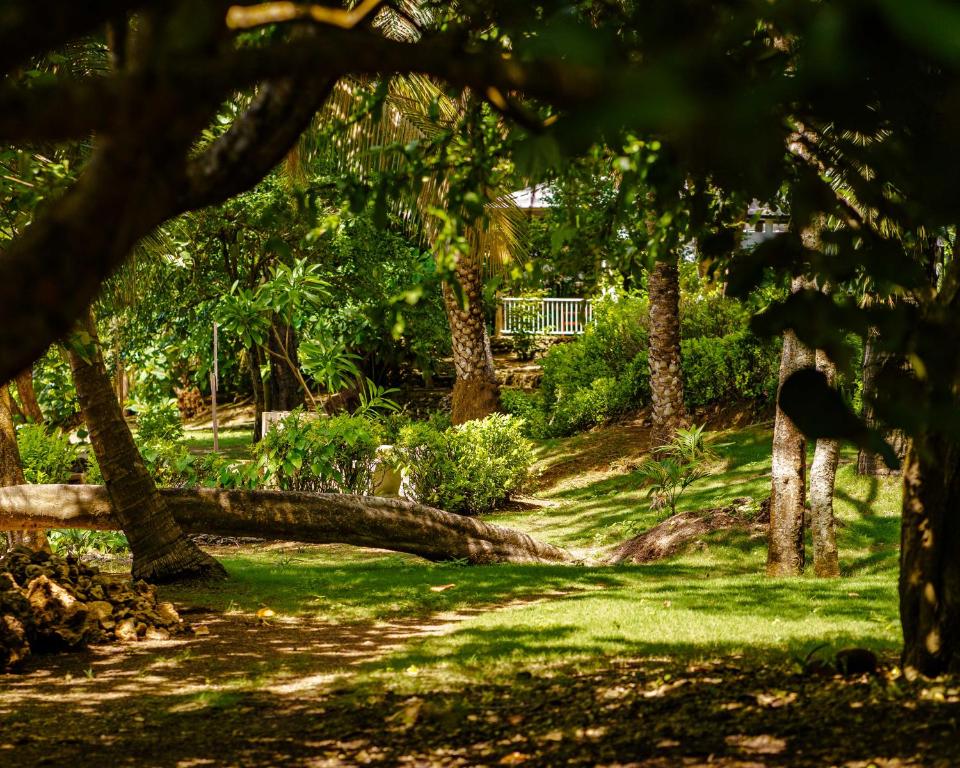 Hotel Fuerte Mayal - 5