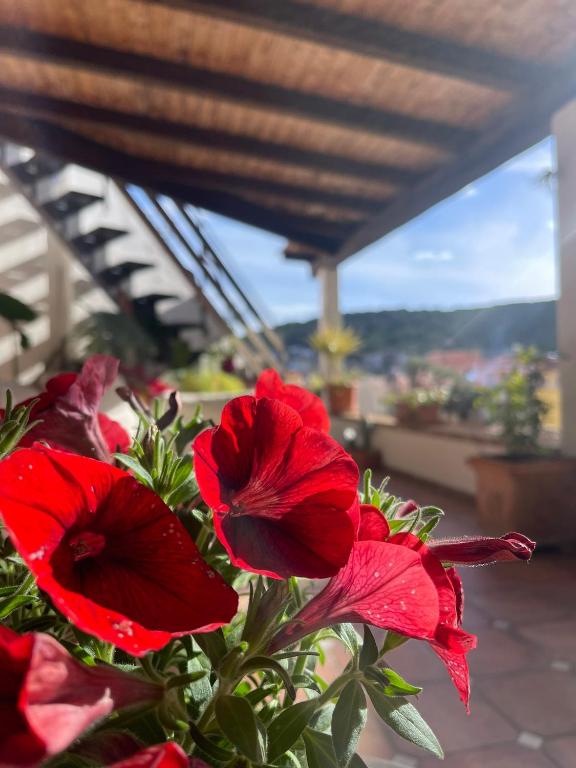 Arega Rooms - 3
