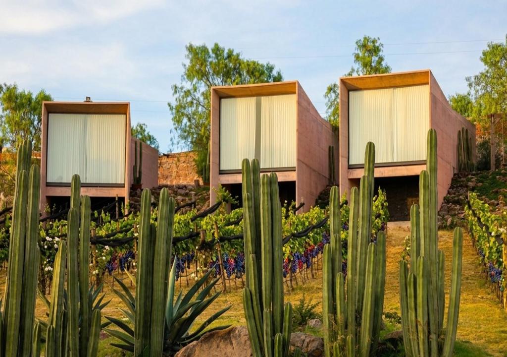 Hacienda Lagunillas - 1