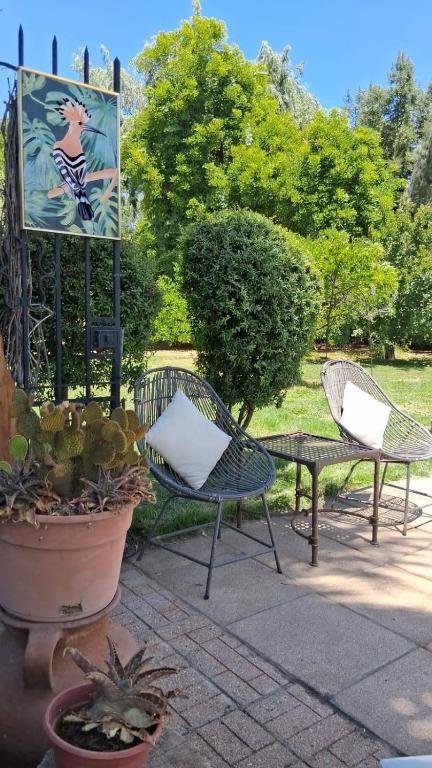 Mini Relajo-Tiny House - 2