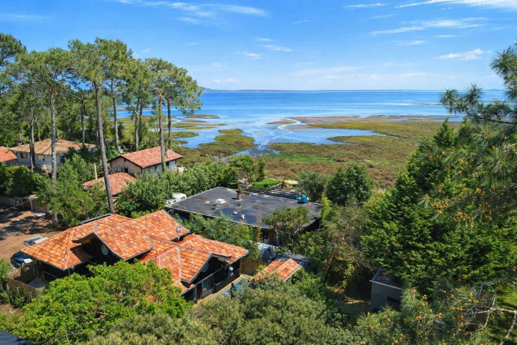 Villa Lège-Cap-Ferret - piscine - vue bassin - 1