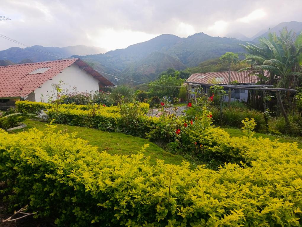 Arco Iris Vilcabamba Farm - 5