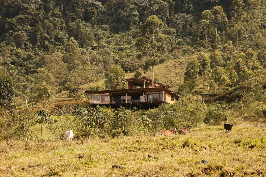 Chalet San Remo Ecolodge - 2