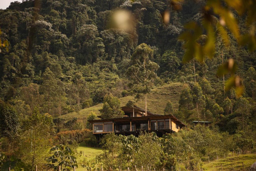 Chalet San Remo Ecolodge - 1