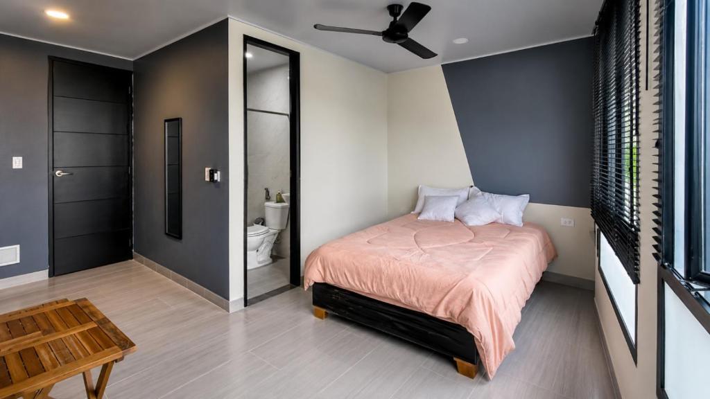 Elegante Apartasuit con Ubicacion Estrategica - 1