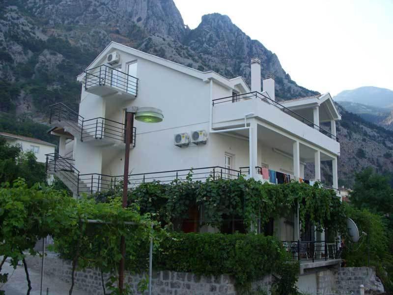 Apartments Dakovic — Hotel in Kotor