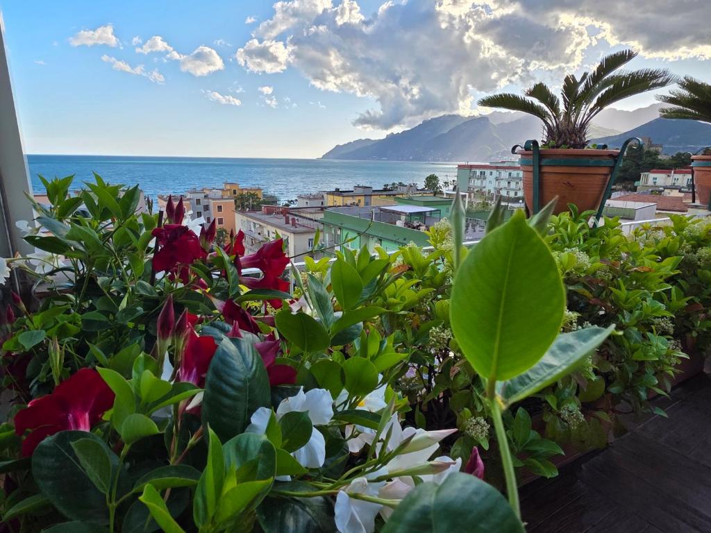 Amalfi Coast View - 3