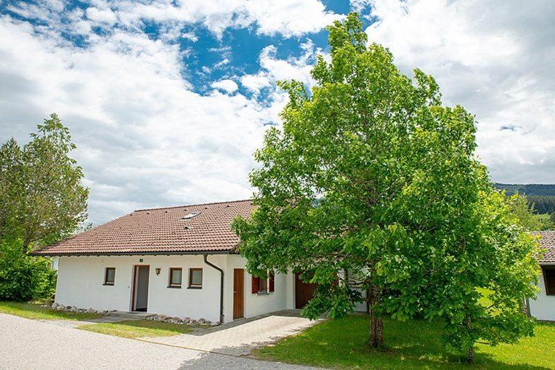 Ferienhaus Gamssteige im Feriendorf Reichenbach G8 - 2