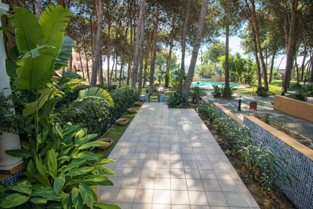 Luxury Casa PRIMERA LINEA Alcossebre ALBERT VILLAS - 4