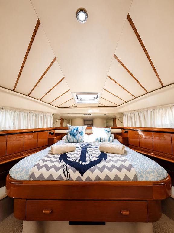 Captain Cangrejo Yacht - 2