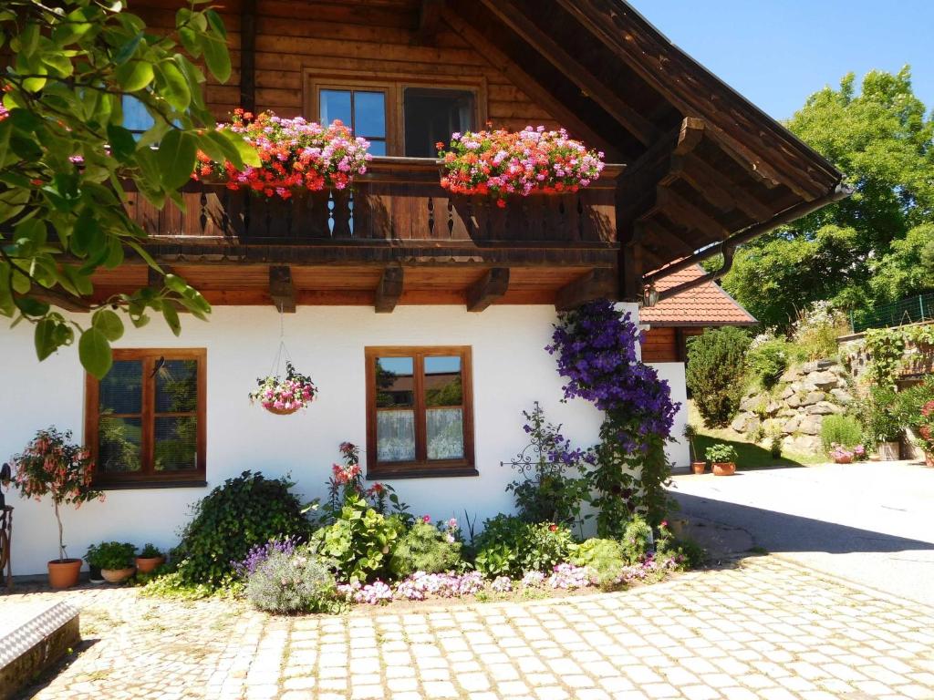 Bio - Appartements Bischof, Familie Wind - 2