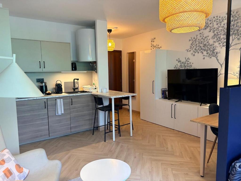 Studio 30m2 avec wifi et parking - 3