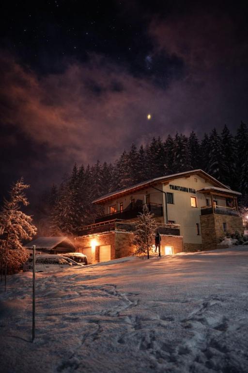 Transylvania Villa & Spa - 2