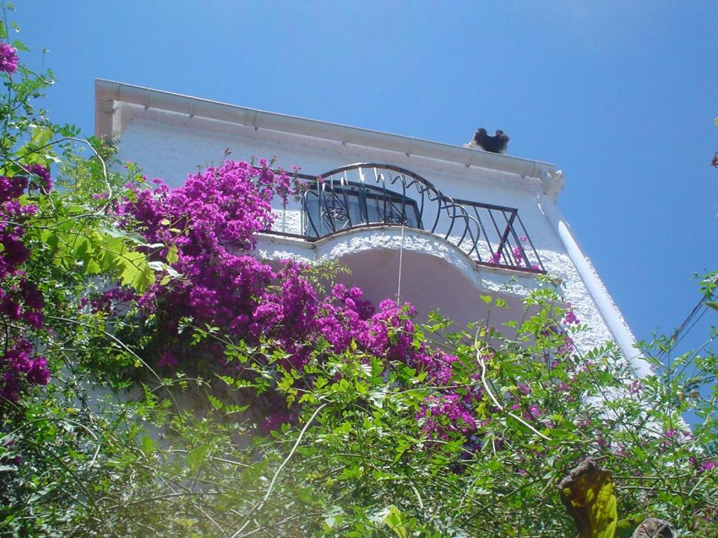 Villa Naranjos - 3