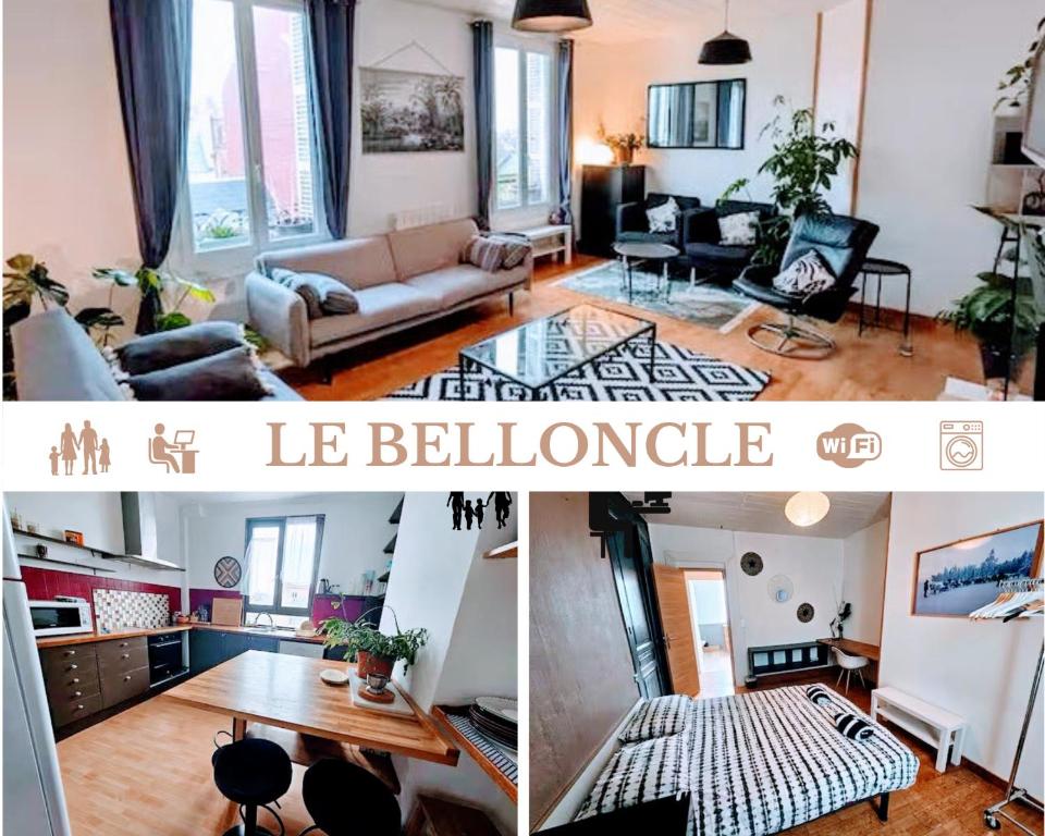 Le Belloncle magnifique appartement spacieux et lumineux animaux bienvenue - 1
