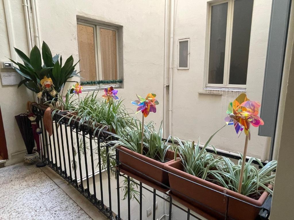 Casa Aurora - 2