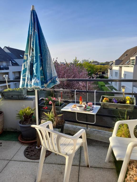 Rennes, studio duplex 35 m2 avec terrasse sud de 6m2 donnant sur parc arboré - 2