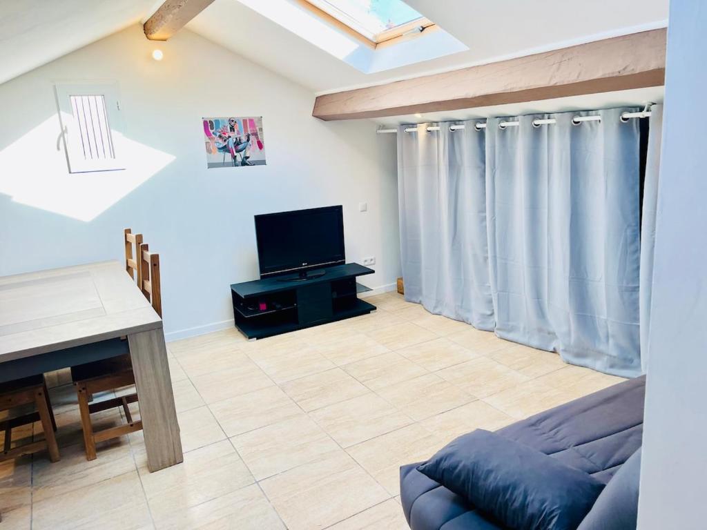 Charmant appartement atypique - 1