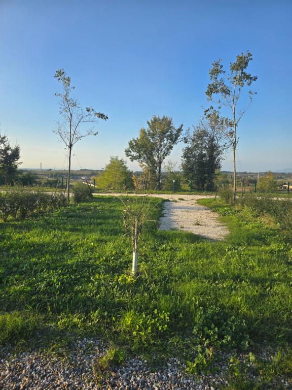 Agricampeggio AL CIELO STELLATO - 2