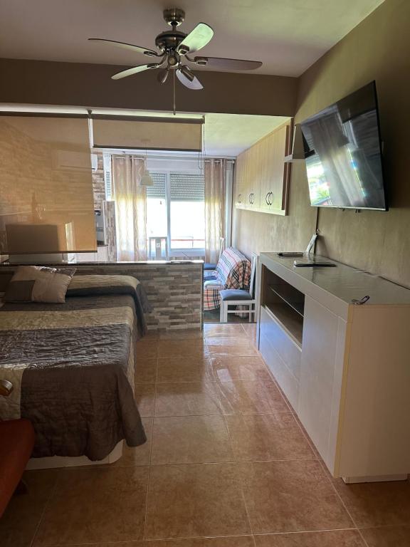 Promar Playa 255 - 5