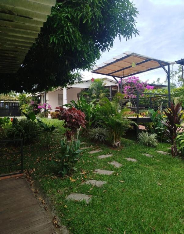 Escápate, finca con piscina pequeña, hamacas, jardines, mucho verde - 5