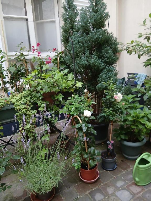 STUDIO 86 rue LEVIS 75017 - 2